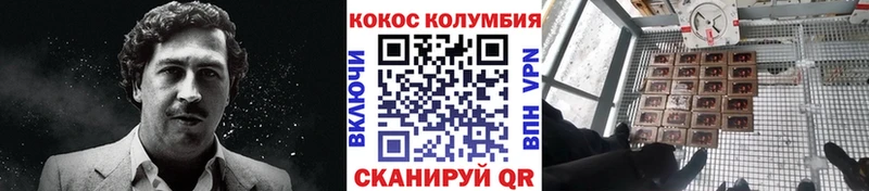 блэк спрут маркетплейс  Вольск  это Telegram  купить   Cocaine Fish Scale 